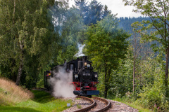 99 516