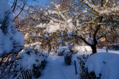 Sonniger Wintertag