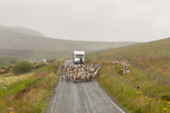 A855 am River Chracaig
