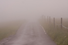 Morgennebel