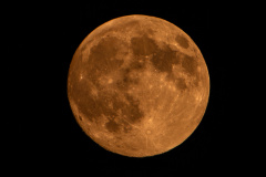 Mond