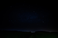 Sterne