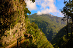 Levada da Ribeira da Janela