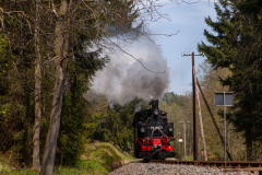 99 590 mit Personenzug
